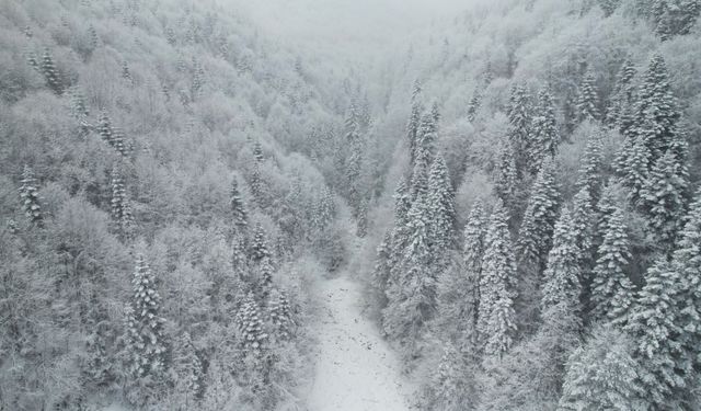 Kastamonu'da kar ve sisle buluşan ormanlar dronla görüntülendi