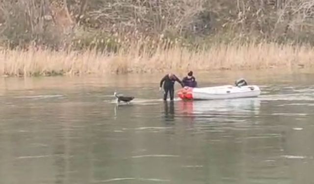 Samsun'da, Kızılırmak Nehri'nde mahsur kalan köpek kurtarıldı