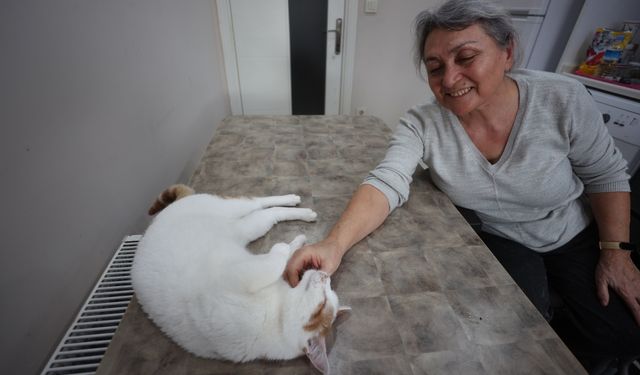 Bedensel engelli emekli öğretmen ile gözleri görmeyen kedisi "can yoldaşı" oldu