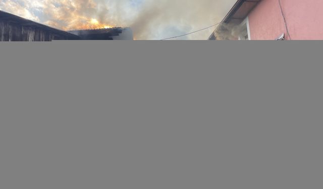 Bolu'da 2 katlı ev, samanlık, odunluk ve depo yandı