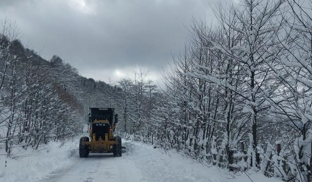 Giresun ve Rize'de 93 köy yolu ulaşıma kapandı