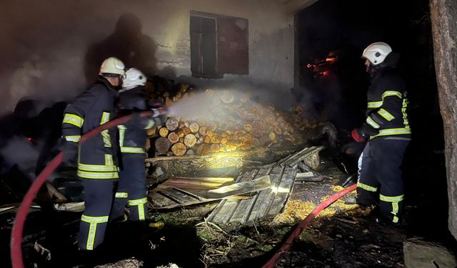Tokat'ta müstakil evde çıkan yangın söndürüldü