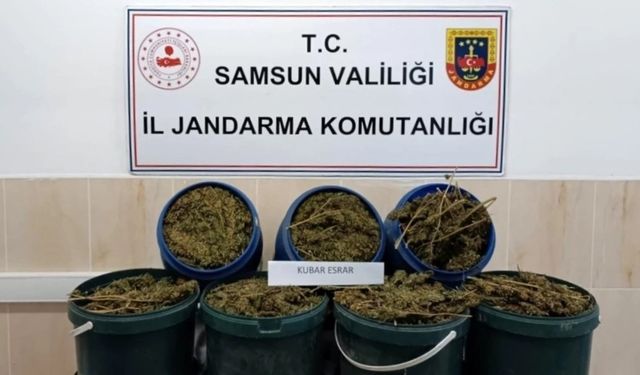GÜNCELLEME - Samsun'da uyuşturucu operasyonunda 1 kişi tutuklandı