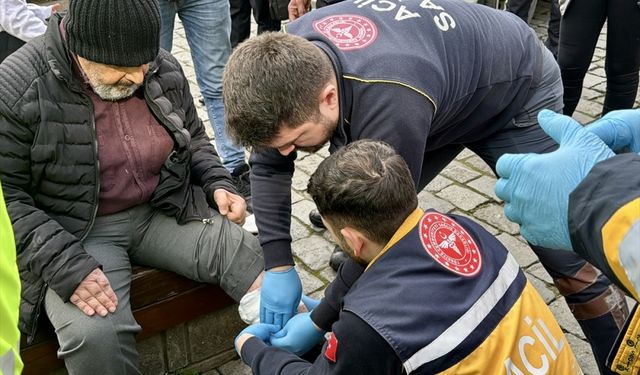 Trabzon'da sahipsiz köpeğin ısırdığı kişi yaralandı