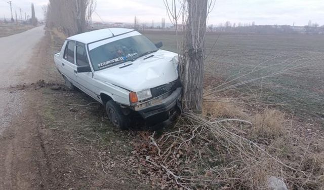 Çorum'da korkutan kaza: Köpeğe çarpmamak için manevra yapan araç ağaca çarptı
