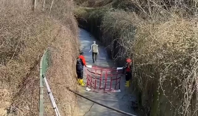 Bartın'da su kanalına düşen karaca balık ağıyla kurtarıldı