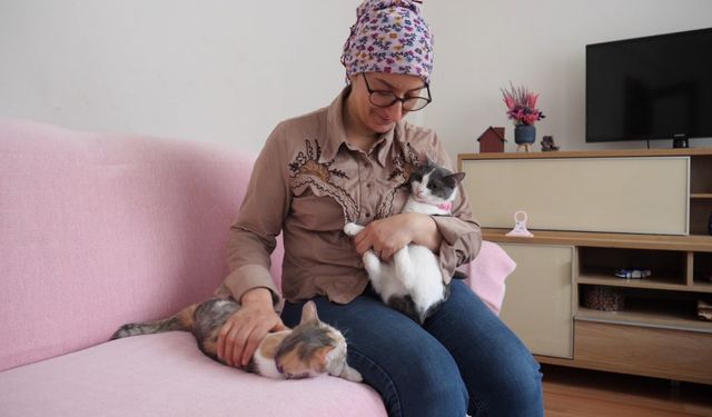 Ortahisar Belediye Başkanı Kaya'nın çağrısından etkilenerek 2 kedi sahiplendi
