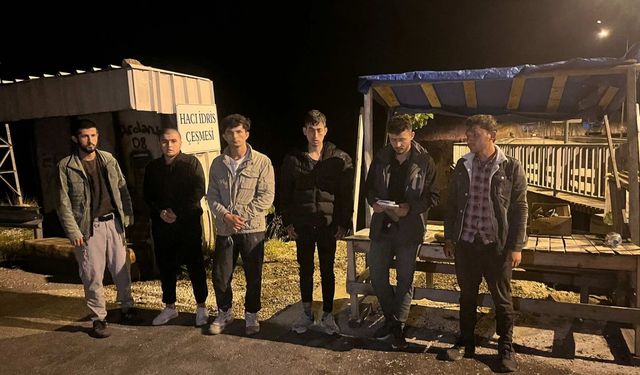 Artvin'de süt tankerinde 5 düzensiz göçmen yakalandı