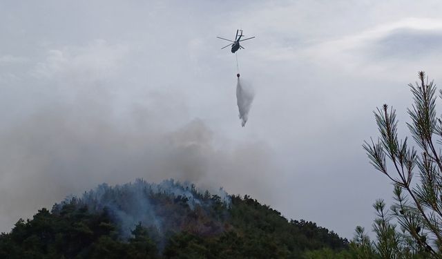GÜNCELLEME - Karabük'te ormanlık alanda çıkan yangın kontrol altına alındı