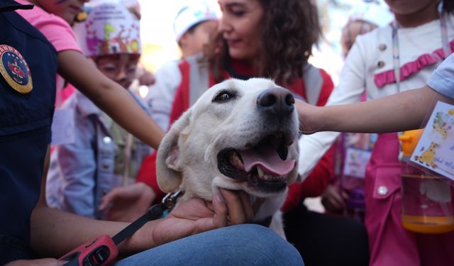 Düzce’de Hayvanları Koruma Günü'nde sahiplendirme ve farkındalık etkinliği düzenlendi