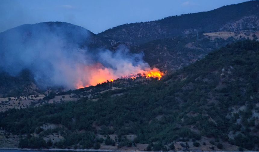 Laçin'de ormanlık alan alev alev: Ekipler yangını kontrol altına aldı