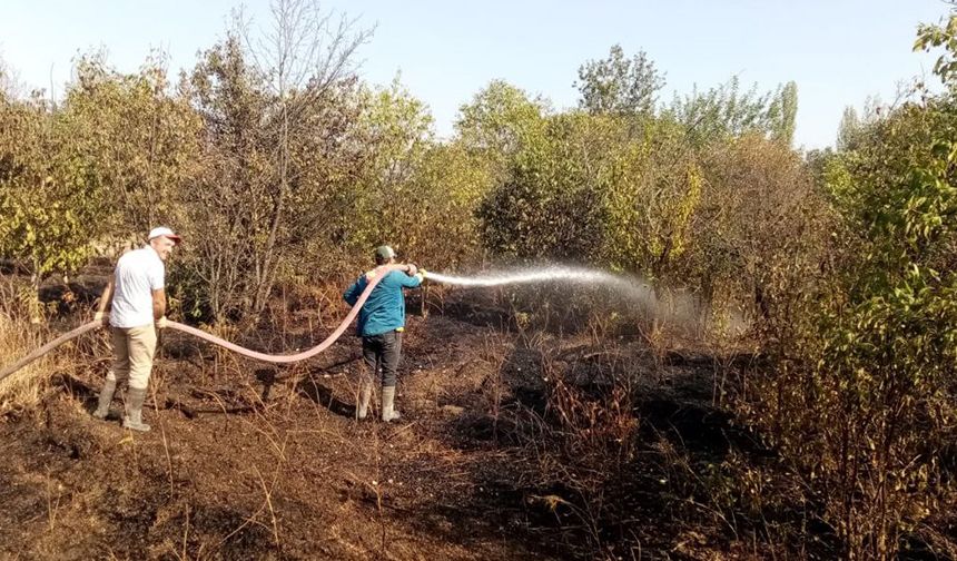 Çorum'da yangın panik yarattı: Ceviz Bahçesi kül oldu