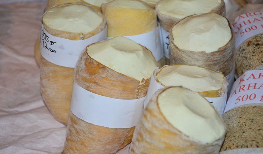 Çorum'un damak çatlatan lezzeti: Kargı Tulum Peyniri nasıl yapılır?