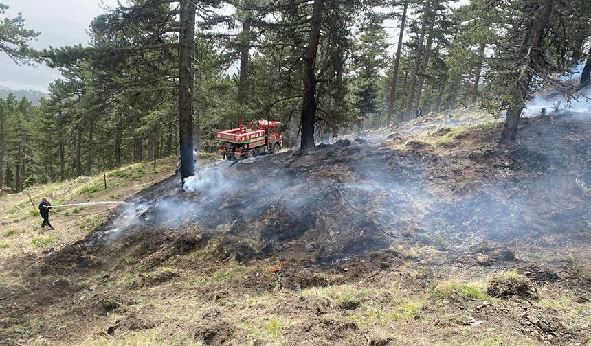 Çorum'da korkutan orman yangını: Akbelen Yaylası'nda orman alev aldı!
