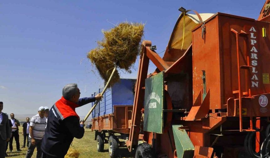 Yozgat’ta yeşil mercimek ekim alanı yüzde 30 artarak 224 bin dekara yükseldi